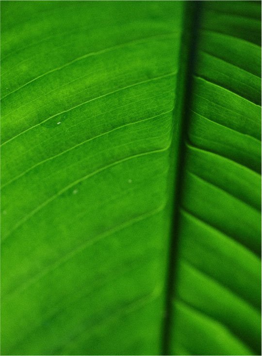 Blog Post2