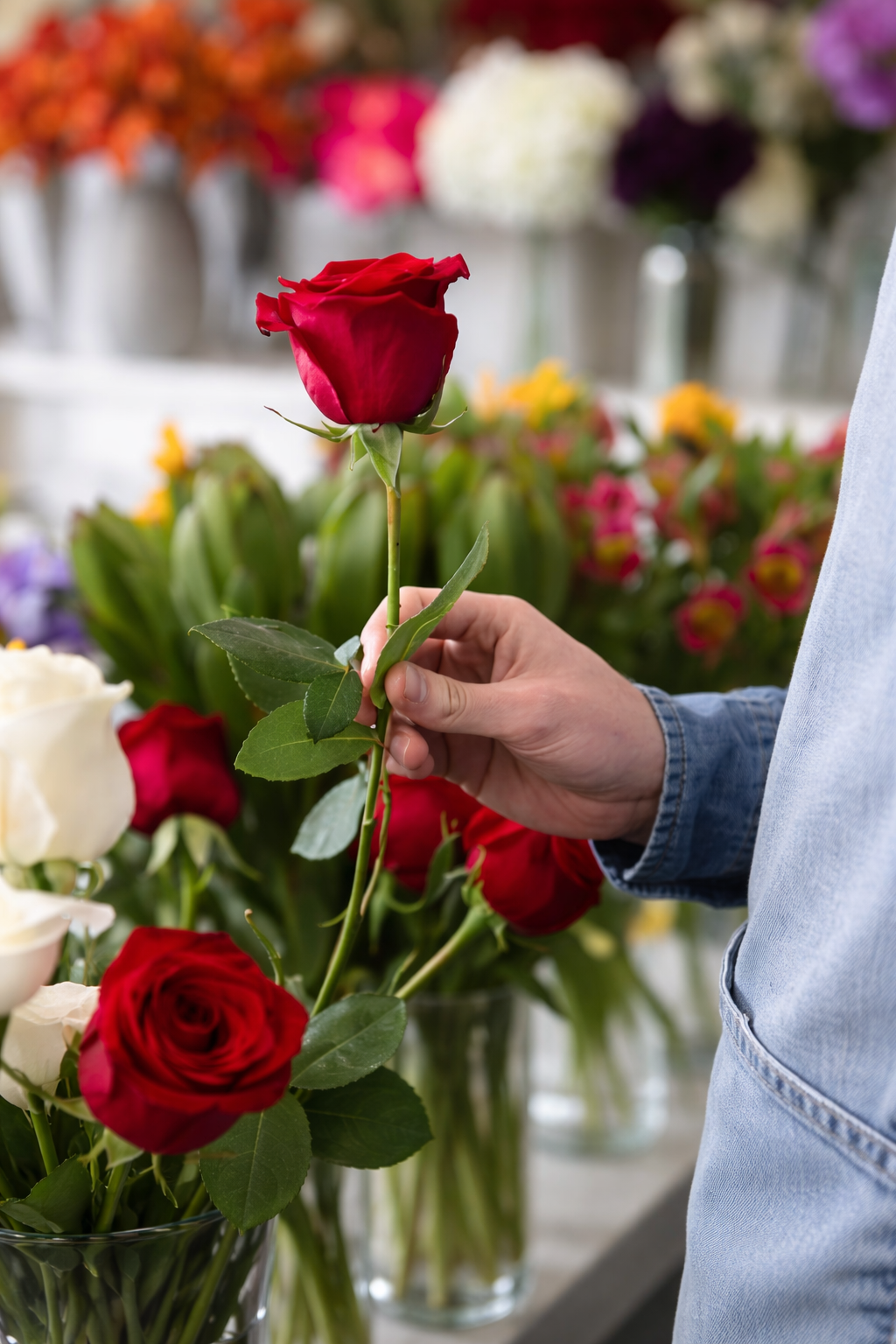 chatgpt image 7 abr 2026, 09 49 25 a.m.